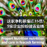 多家企业净利暴增近35倍｜业绩快报核心数据解读