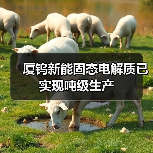 固态电解质量产进展|厦钨新能布局多领域电池材料 固态电解质量产进展|厦钨新能布局多领域电池材料