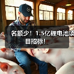 锂电池项目招标信息汇总|1.5亿采购机会分析 锂电池项目招标信息汇总|1.5亿采购机会分析