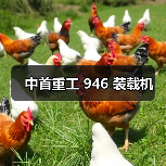 产品推荐