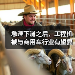工程机械与商用车行业复苏前景分析|行业趋势解读 工程机械与商用车行业复苏前景分析|行业趋势解读