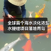 全球首个海水淡化浓盐水提锂项目落地青岛｜创新路径全解析