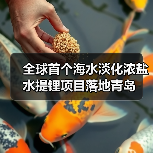 全球首个海水淡化浓盐水提锂项目落地青岛｜创新路径全解析