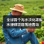 全球首个海水淡化浓盐水提锂项目落地青岛｜创新路径全解析