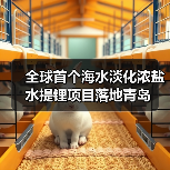 全球首个海水淡化浓盐水提锂项目落地青岛｜创新路径全解析