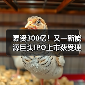 新能源巨头IPO募资300亿|风光项目布局全攻略 新能源巨头IPO募资300亿|风光项目布局全攻略