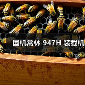 产品推荐