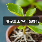 产品推荐