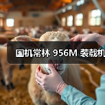 国机常林956M装载机参数与优势解析 国机常林956M装载机参数与优势解析