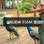 国机常林956M装载机参数与优势解析 国机常林956M装载机参数与优势解析