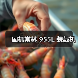 产品推荐