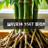 产品推荐