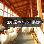 国机常林956T装载机性能参数与优势解析|选购指南 国机常林956T装载机性能参数与优势解析|选购指南