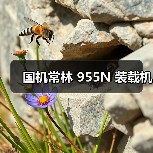 国机常林955N装载机性能解析｜选购指南