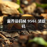 雷乔曼机械956L装载机性能优势解析｜选购指南