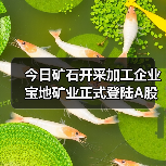 矿石开采加工企业登陆A股｜行业前景与机遇分析