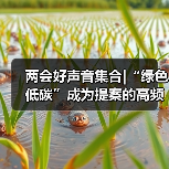 两会绿色低碳提案聚焦｜产业转型核心方向