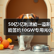 50亿光伏组件项目签约｜高效新能源产业新突破
