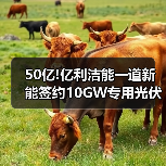 50亿光伏组件项目签约｜高效新能源产业新突破