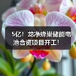 5亿储能合资项目启动｜龙净蜂巢布局储能产业链