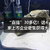 多家上市公司斩获大额订单助力业绩增长