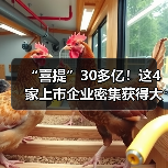 多家上市公司斩获大额订单助力业绩增长
