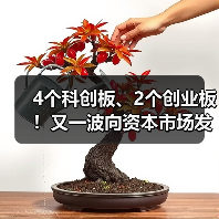 资本市场新动向：多企业冲刺上市｜IPO全攻略