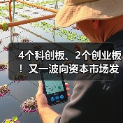 资本市场新动向：多企业冲刺上市｜IPO全攻略