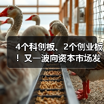 资本市场新动向：多企业冲刺上市｜IPO全攻略