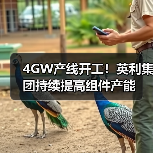 4GW产线开工助力光伏产能提升｜组件生产全攻略