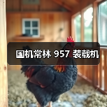 产品推荐