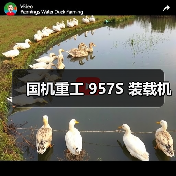 产品推荐
