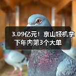 京山轻机光伏设备大单频出｜年度业绩增长新引擎
