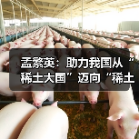 稀土产业升级路径解析｜孟繁英谈建设稀土强国战略