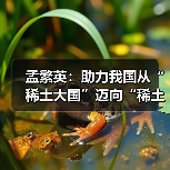稀土产业升级路径解析｜孟繁英谈建设稀土强国战略
