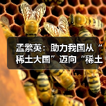 稀土产业升级路径解析｜孟繁英谈建设稀土强国战略
