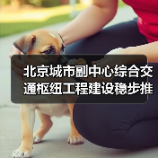 北京城市副中心枢纽建设进展|科技创新推动工程高效推进 北京城市副中心枢纽建设进展|科技创新推动工程高效推进