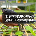 北京城市副中心枢纽建设进展|科技创新推动工程高效推进 北京城市副中心枢纽建设进展|科技创新推动工程高效推进