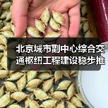 北京城市副中心枢纽建设进展|科技创新推动工程高效推进 北京城市副中心枢纽建设进展|科技创新推动工程高效推进