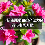 新能源项目投产推动储能电网升级 新能源项目投产推动储能电网升级