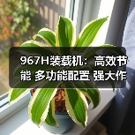产品推荐
