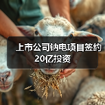 上市公司布局钠电项目投资20亿｜新能源产业新动向