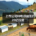 上市公司布局钠电项目投资20亿｜新能源产业新动向
