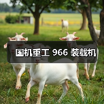 国机重工966装载机参数与优势解析｜选购指南