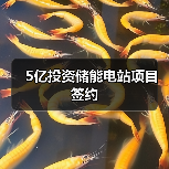 储能电站项目签约投资5亿｜行业动态全解析