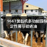 966T装载机多功能强稳定性高节能省油指南