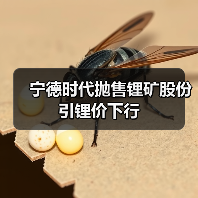 宁德时代抛售锂矿股份引锂价下行