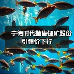 宁德时代抛售锂矿股份引锂价下行