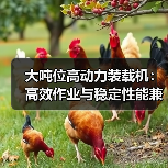 大吨位高动力装载机：高效作业与稳定性能兼具