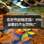 高效节能稳定强！996装载机作业范围广